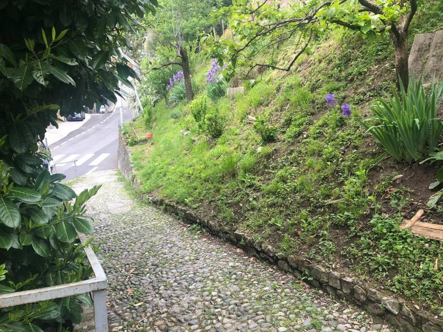 Casa Orchidea Apartment Oria  Ngoại thất bức ảnh